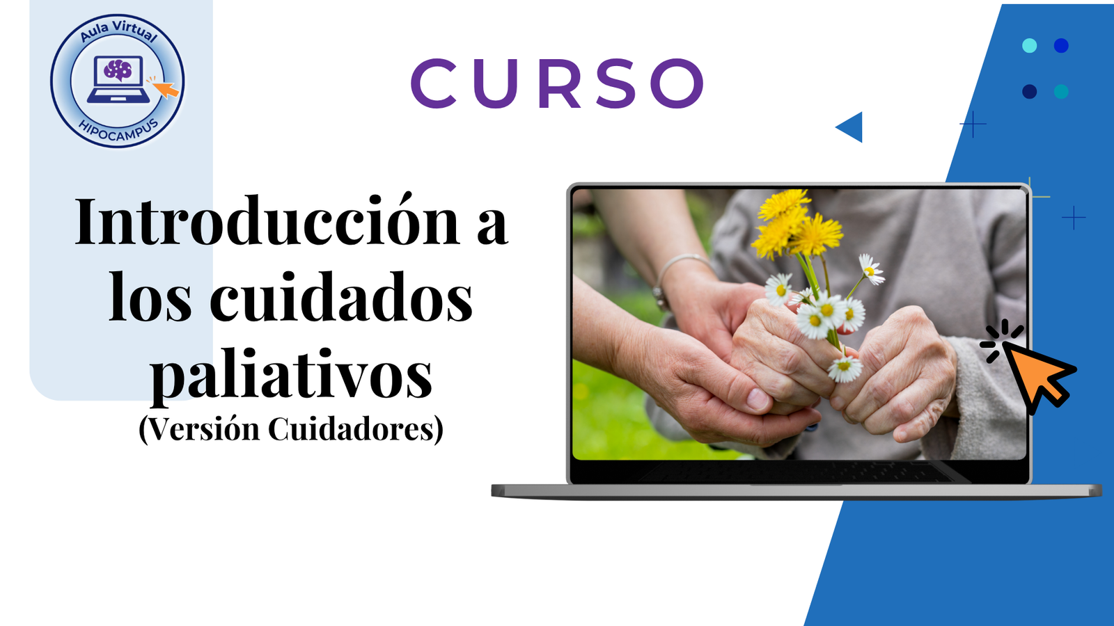 Introducción a los cuidados paliativos, versión cuidadores